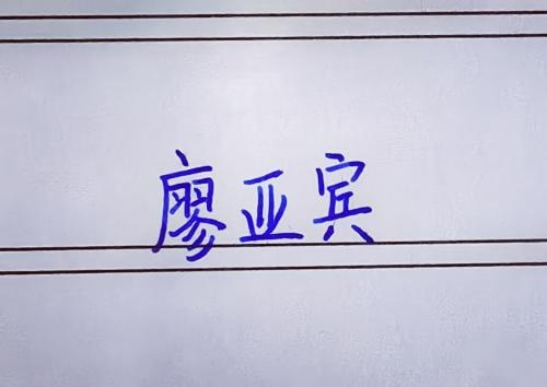 廖亚宾