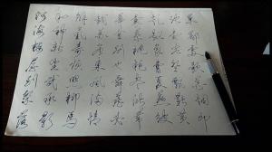 书心