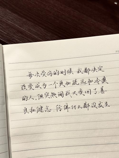 每次受伤的时候 我都决定改变成为一个更加疏远和冷漠的人，但突然间我又变回了善良和健忘，仿佛什么都没发生。