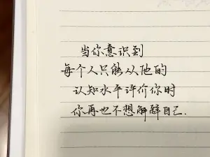 创作者是云舒的当你意识到每个人只能从他的认知水平评价你时，你再也不想解释自己。手写作品