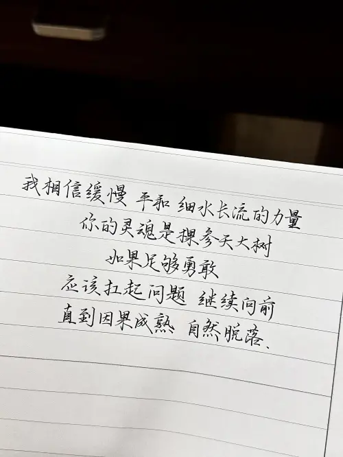 我相信缓慢、平和、细水长流的力量。你的灵魂是棵参天大树，如果足够勇敢，应该扛起问题，继续向前，直到因果成熟，自然脱落。