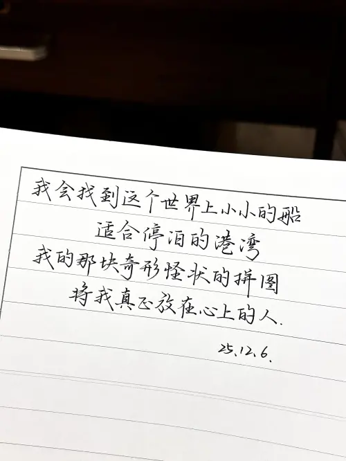 我会找到这个世界上小小的船，适合停泊的港湾，我的那块奇形怪状的拼图，将我真正放在心上的人。