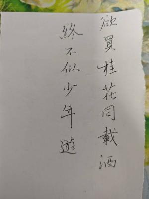 创作者是诗酒趁年华的欲买桂花同载酒，终不似少年游的null写法