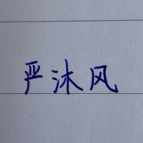 严沐风