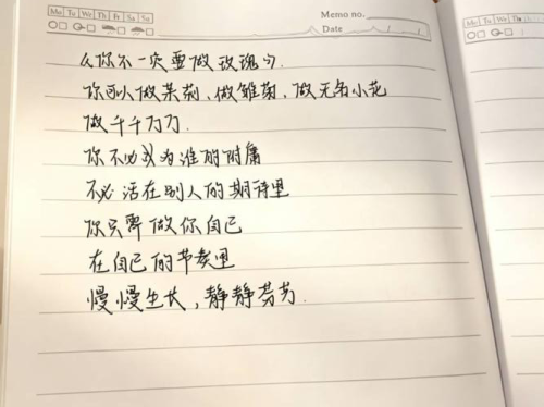 《你不一定要做玫瑰》