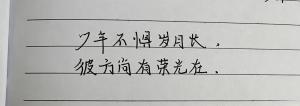 创作者是小的少年不惧岁月长，彼方尚有荣光在。的null写法
