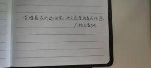 创作者是小的苦难是花开的伏笔，冬天总要为春天作序。的null写法