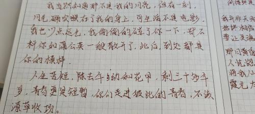 人生苦短，除去年幼和花甲，剩三十多年岁，青春更是短暂，你们走进彼此的青春，不该潦草收场。