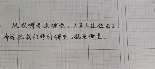 风吹哪页读哪页，人来人往任由之。命运把我们带到哪里就是哪里。