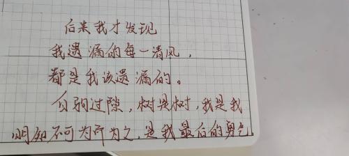 明知不可为而为之，是我最后的勇气。