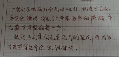 抵达不过是时光里的片刻驻足，而出发，才是贯穿生命的永恒律动。