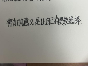 创作者是初遇的努力的意义，是让自己有更多选择✨的null写法