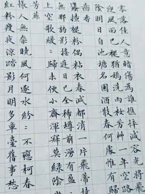 创作者是书斋的1的null写法