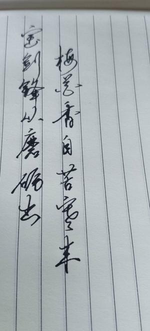 创作者是书心的宝剑锋从磨砺出，梅花香自苦寒来。的null写法