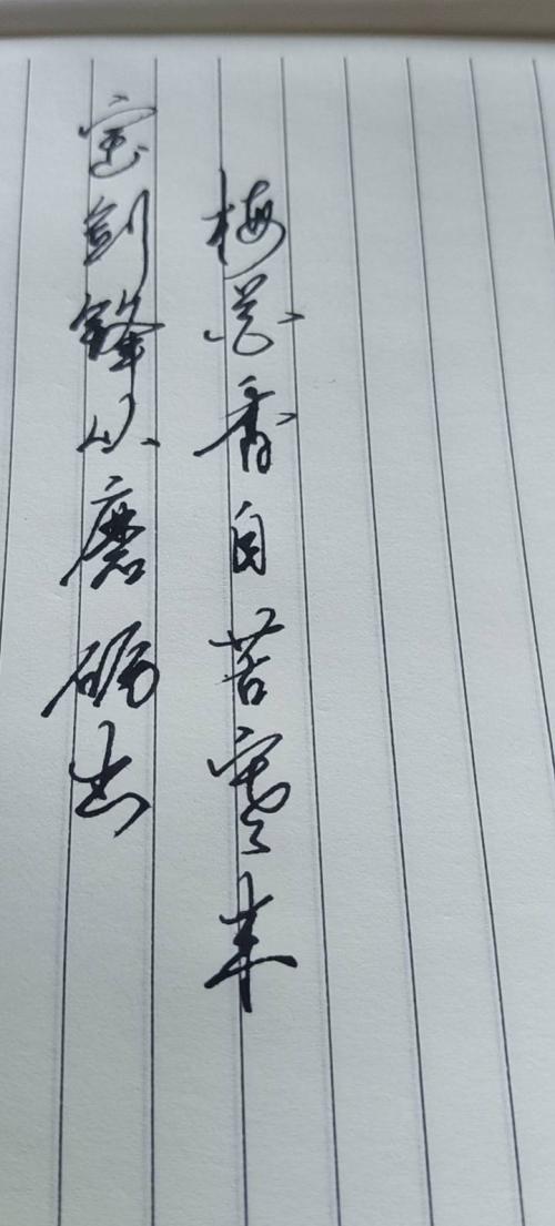 宝剑锋从磨砺出，梅花香自苦寒来。