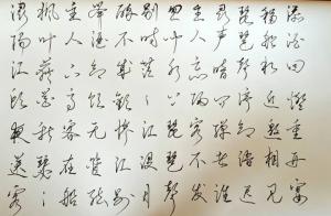 创作者是书心的琵琶行的null写法